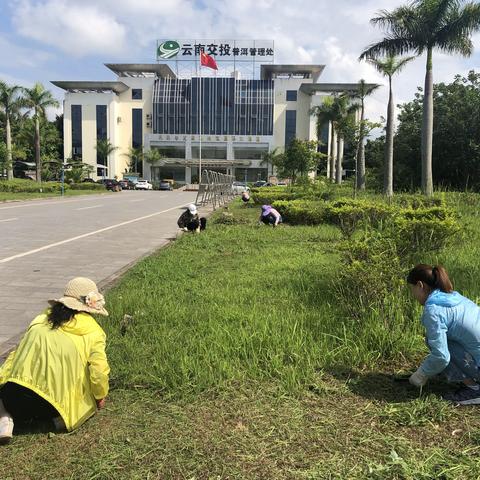 建设美丽家园，我们在行动