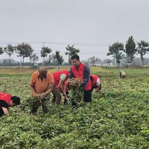 清源街道唐段庄社区：开展精准帮扶 助力“三秋”生产