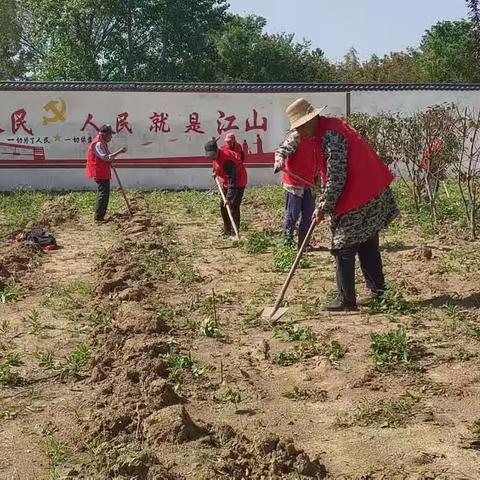 清源街道唐段庄社区开展“五一劳动节，党员在行动”主题活动