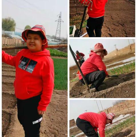 清徐县实验小学四年级（2）班，刘丞皓，疫情，没有阻挡我的成长，充实过好每一天。