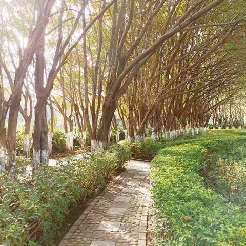 熏陶民族文化，守护绿色家园