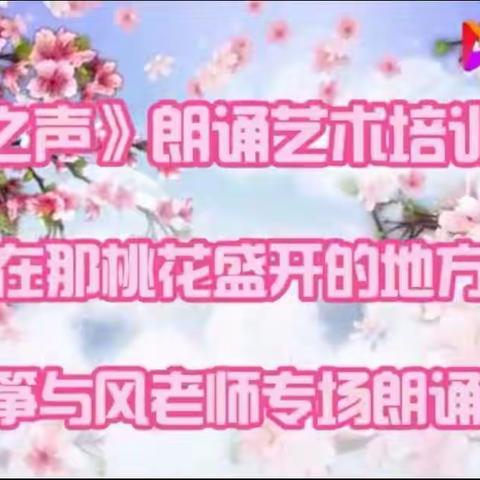 小迪的美篇