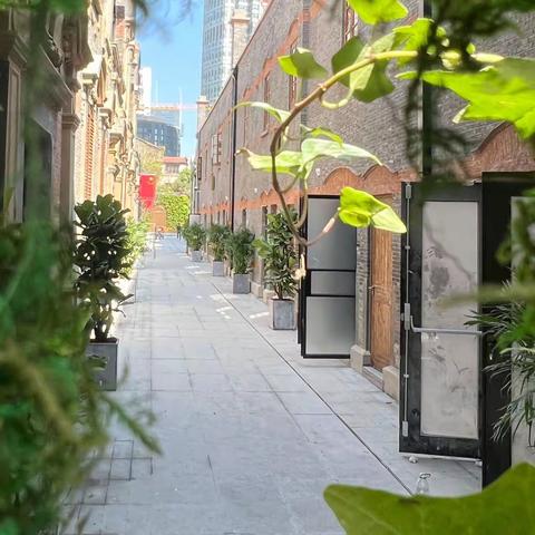 【张园西区】茂名北路话“三里”