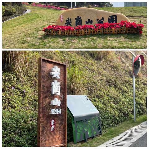 秋日暖阳，阳光正好，登山去——小组活动记01