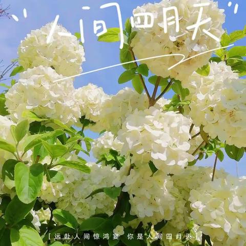 “数”说精彩   “学”无止境—唐县镇第二小学中年级春季精彩课堂