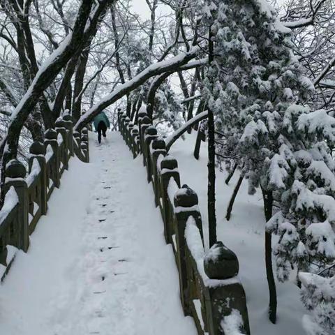 冬日游豆腐沟清微宫