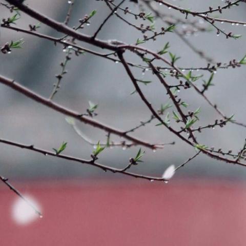 “弘扬革命精神，牢记使命担当”——实验小学三(14)班“水韵书香”读书社团，学习爱国教育，祭先烈为主题的小组活动！