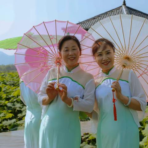 荷塘里一道亮丽的风景线