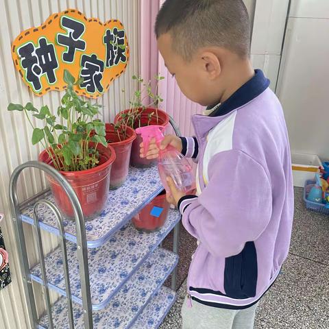 中一班董玉谭的幼儿园生活