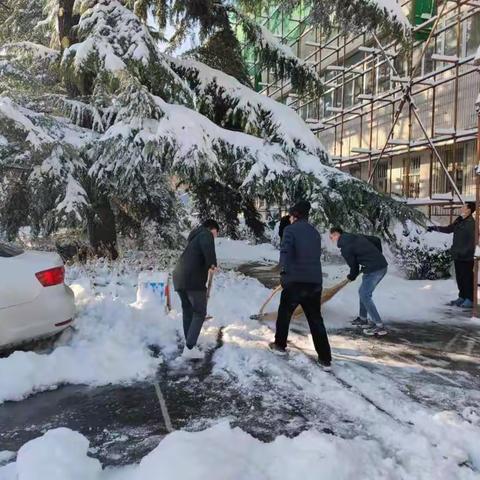 市委宣传部党员干部积极行动扫雪除冰