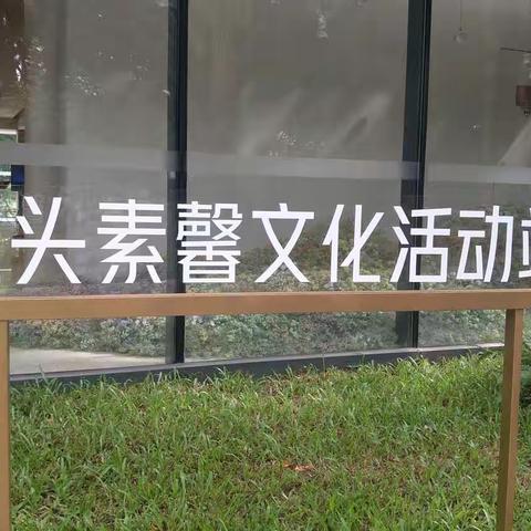 庄头素声文化活动站。