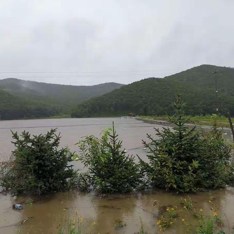 【工作动态】最是风雨见初心、众志成城抗洪抢险