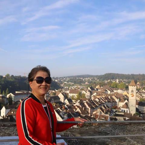 瑞士比利时荷兰之旅3