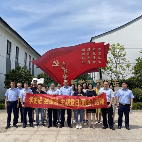 “学先进 强担当”主题党日活动