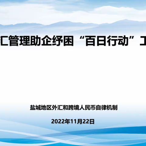 国家外汇管理局盐城市中心支局召开“决胜外汇管理助企纾困百日行动”工作会议