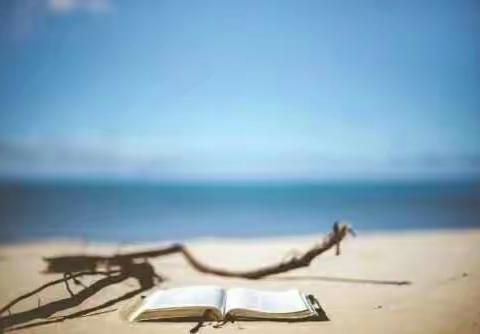 世界读书日——让阅读成为一种习惯