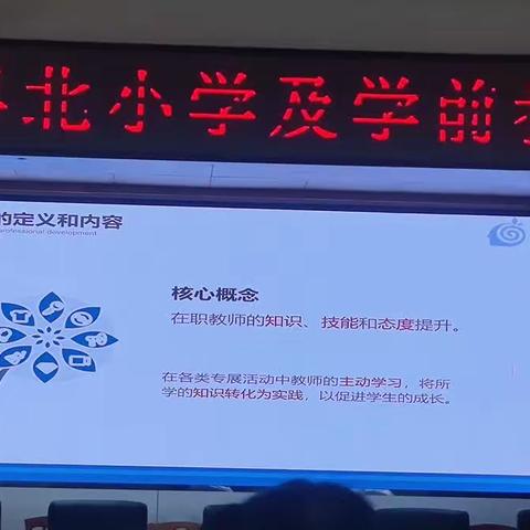 教师专业发展20230827