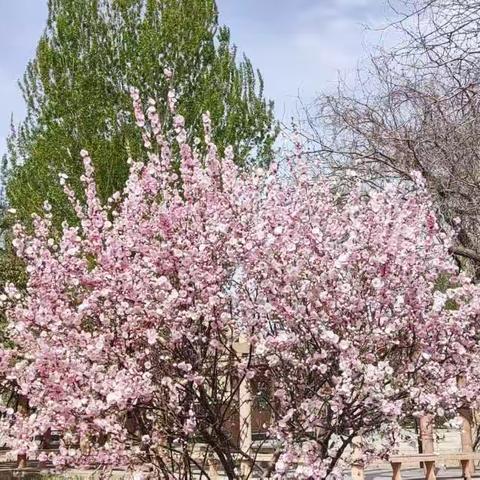 不输在家庭教育上（第三十八卷）巧妙拒绝孩子的不合理要求