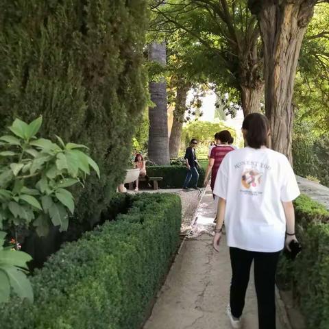 8.5（下）接着漫步百花小巷参观露天庭院。