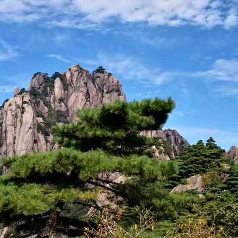 胡志龄的美篇'黄山一迎客松