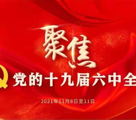 学习贯彻党的十九届六中全会精神——她们这样说