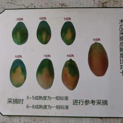 大里组织村干部和致富带头人外出参观考察学习