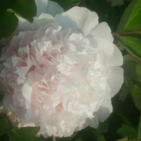 心美，一切皆美