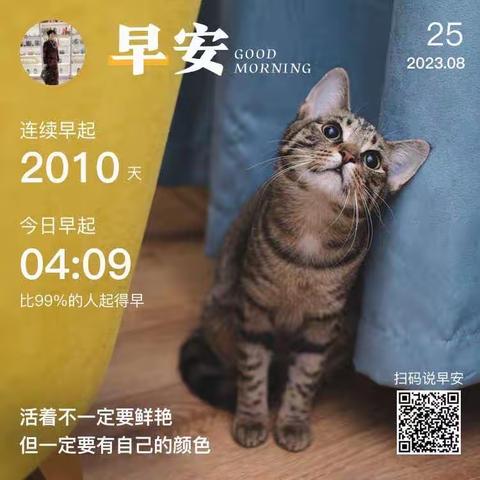 丹妈育孙成长日记第651篇