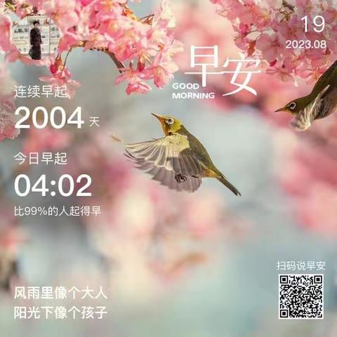 丹妈育孙成长日记第645篇