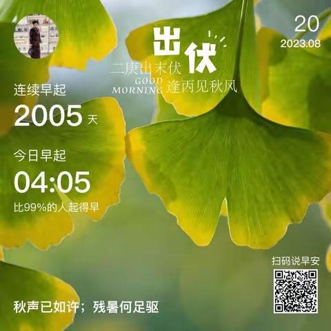 丹妈育孙成长日记第646篇