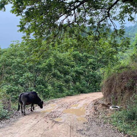 北山水库—风景无限！只是路难行。