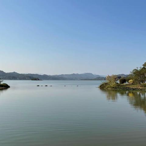 💗2021年第一照！愿所想皆所成！身体棒棒！工作棒棒！收入棒棒！元旦快乐！[玫瑰]