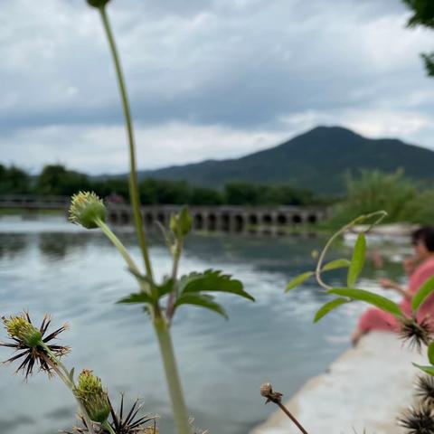 溪口三村网红桥打卡