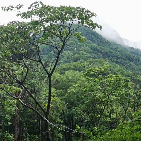 金刚台猫耳峰