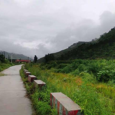 涞源县爱心桥公益联盟