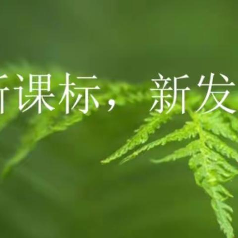 立足新课标 展望新篇章——石各庄镇四户小学新课标培训