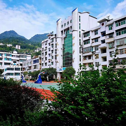 春风十里 校园有你 ———实验小学开学指南