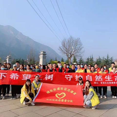 【富强社区党支部】春风十里  正“植”有你