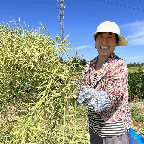 里辛街道3+2提质升级 探索创建出彩典范人家