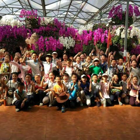 我与菜博会的邂逅