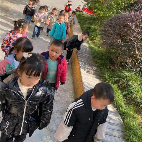 黄家坝街道中心幼儿园小（二）班《11月课程故事—蚂蚁之旅》