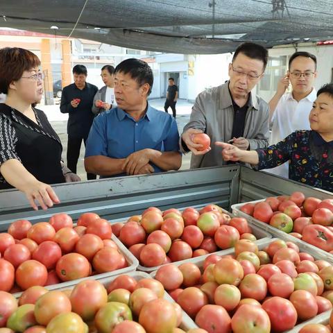 长治市潞城区人大常委会调研全区农业产业特色种植发展情况