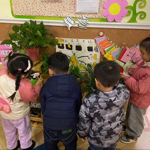 玫瑰郡伟才幼儿园幼小衔接中班组德育实践——我是“爱护植物🌳小能手”