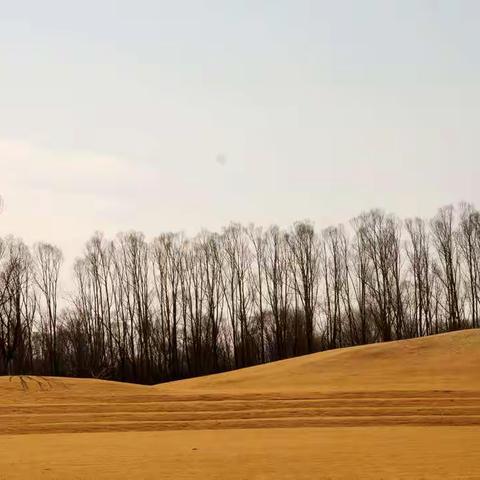 湿地公园末冬