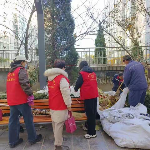 齐心协力      创卫有我