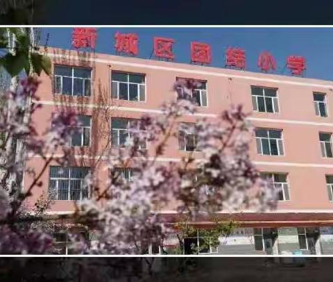 书香润假期 阅读伴成长——新城区团结小学假期“石榴籽阅读活动”