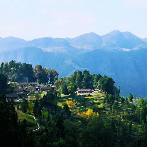 重游花山