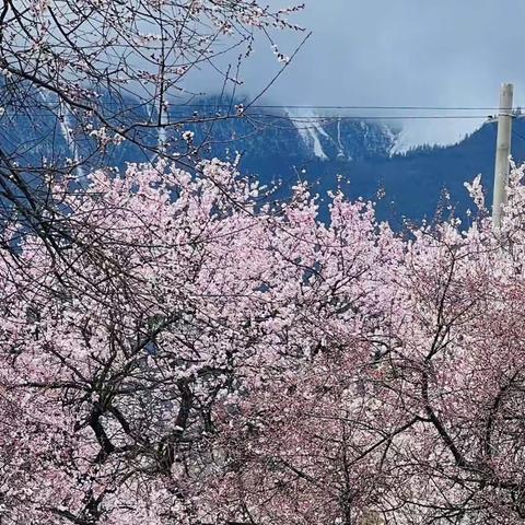 “音”你而精彩—“马兰花开遍太行山”走进顺平县安阳乡清秀希望小学