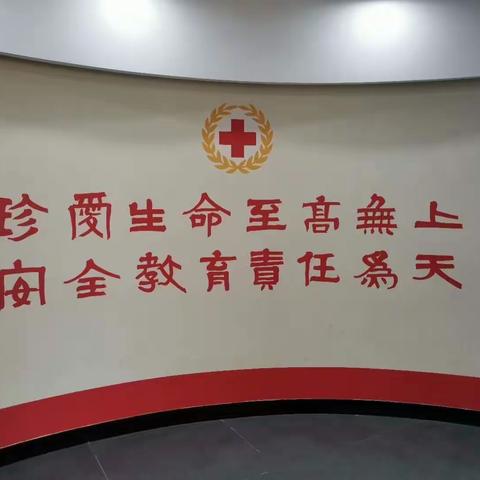 认真学习安全知识，提高自防自救能力——实验小学红帆中队旋风小队假日活动