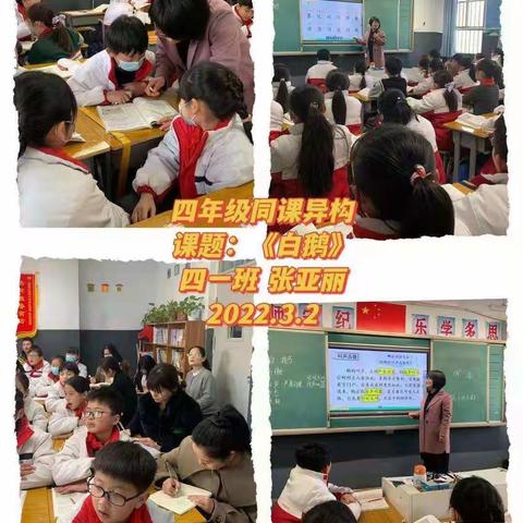 商丘市梁园新区前进小学四年级语文同课异构《白鹅》